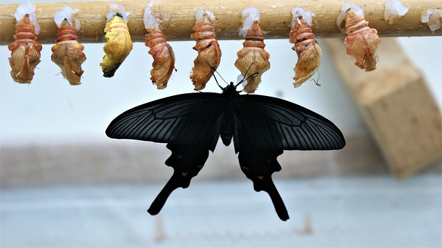 Start With Behaviours Get Meaning LaptrinhX News